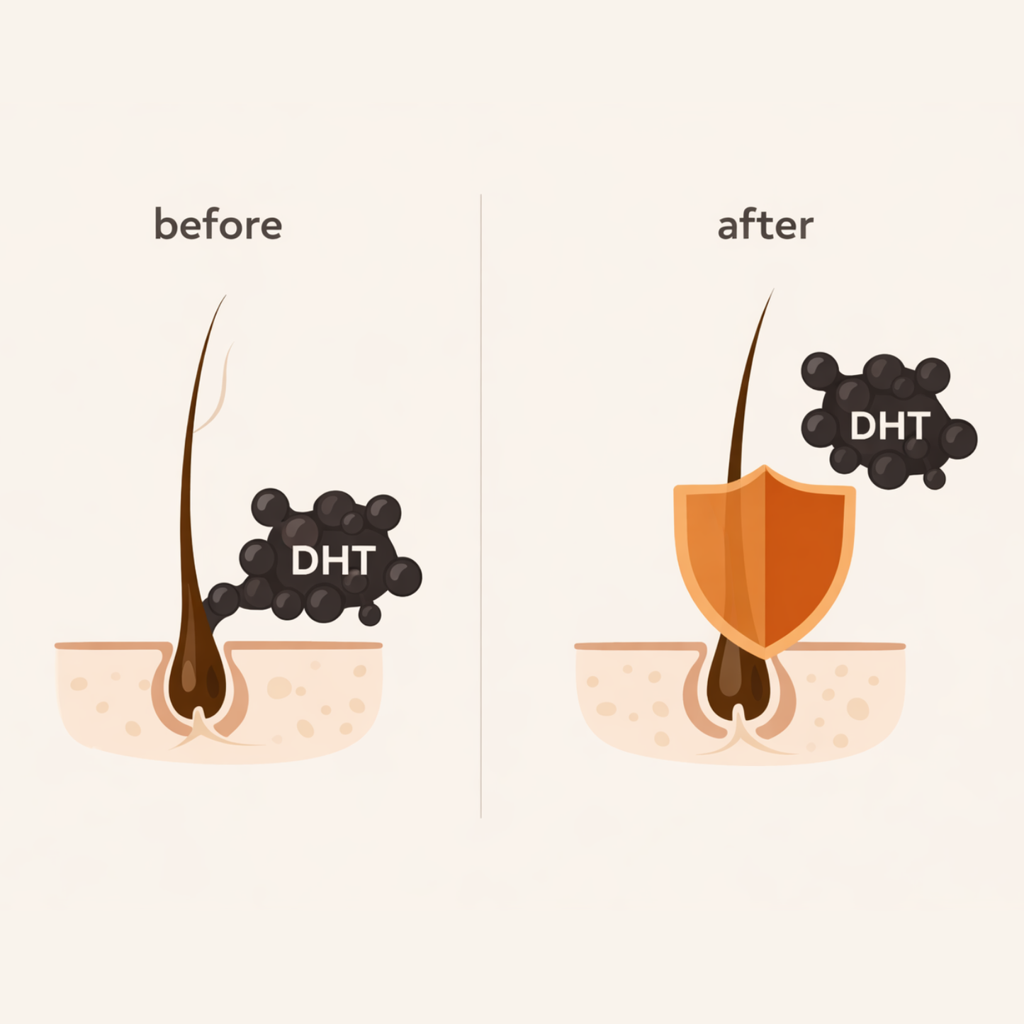 GLOWKER® Pumpkin Seed Oil & Saw Palmetto Capsules